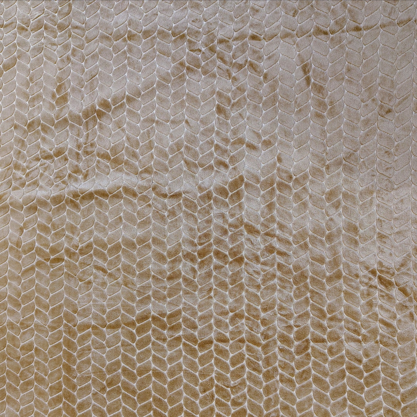 Golden Blanket