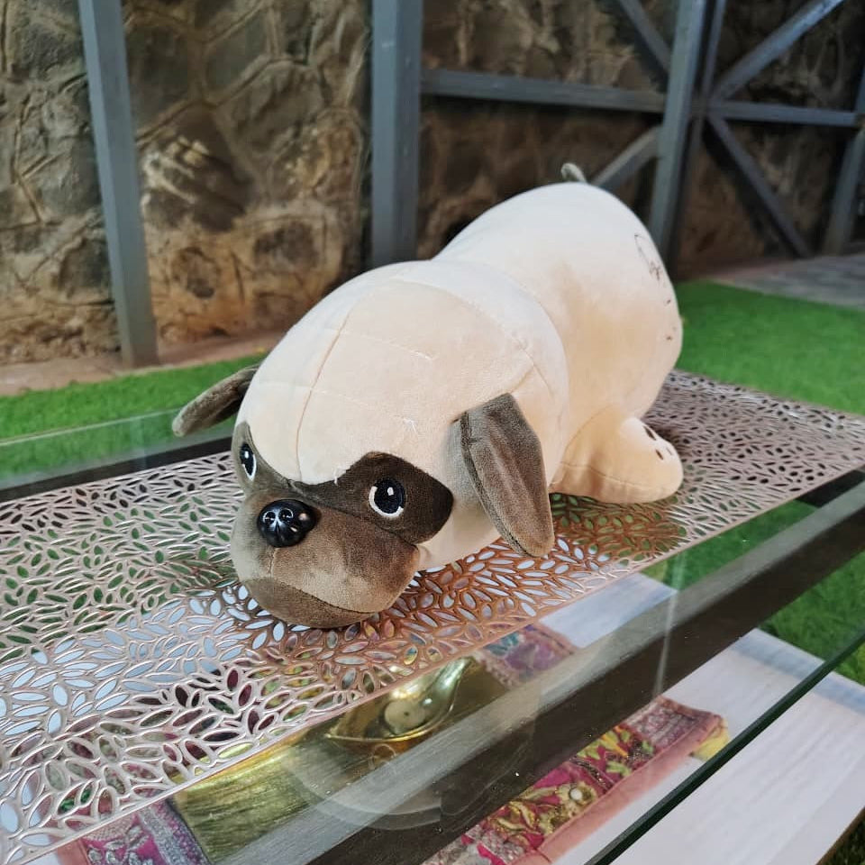 Pug Dog