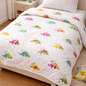 Dinosaur Blanket