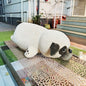 Pug Dog