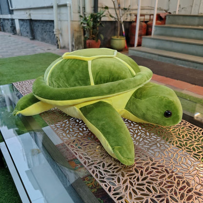Tortoise