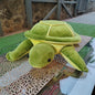 Tortoise