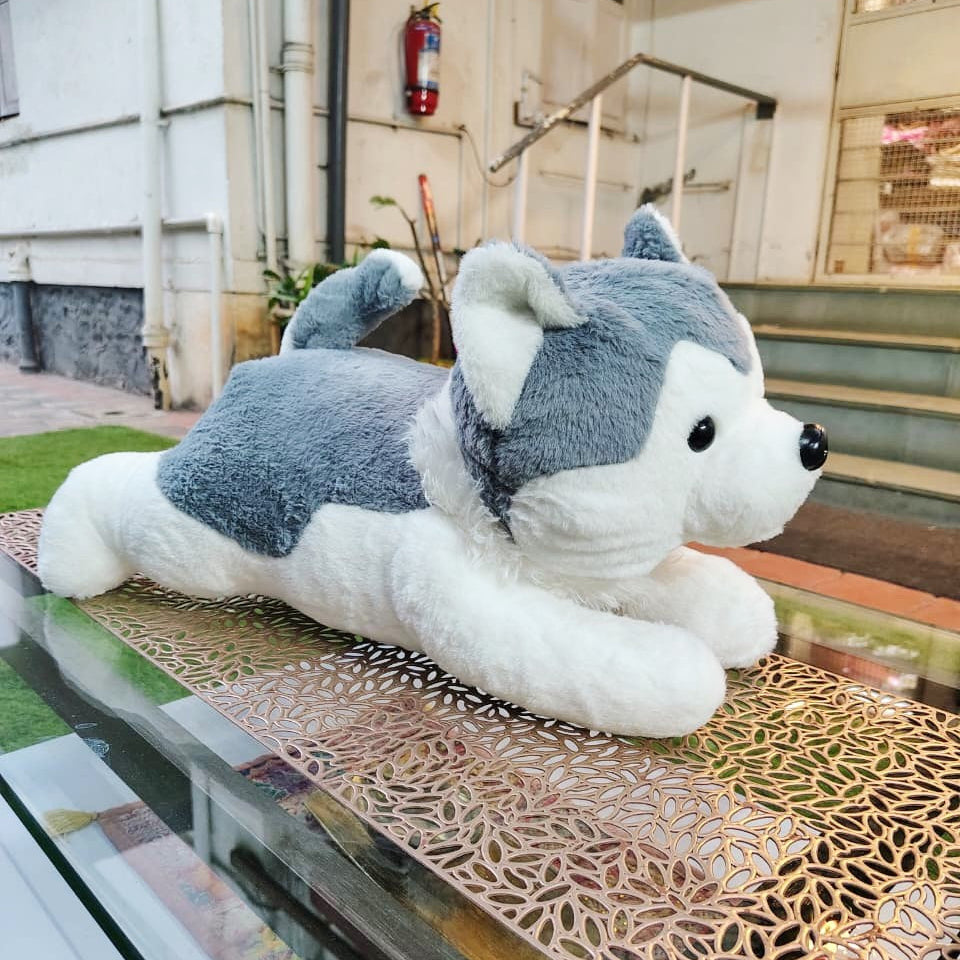 Husky