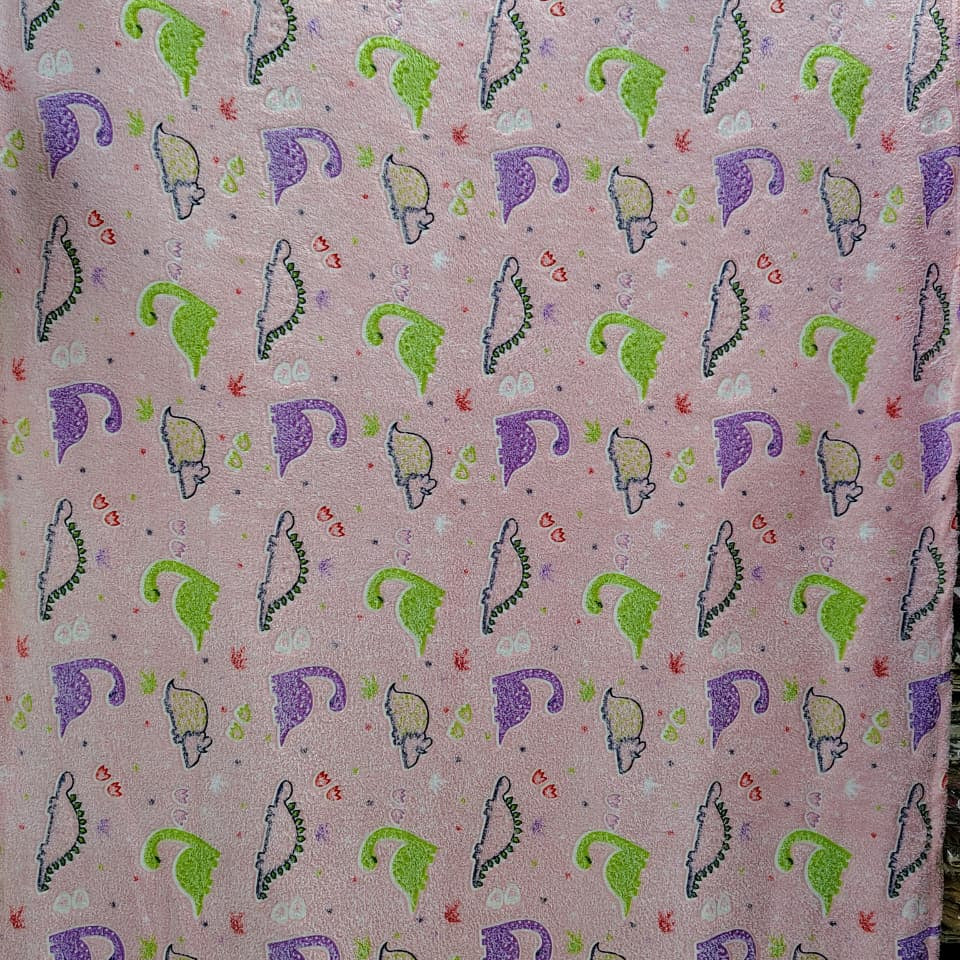 Dinosaur Glow Blanket