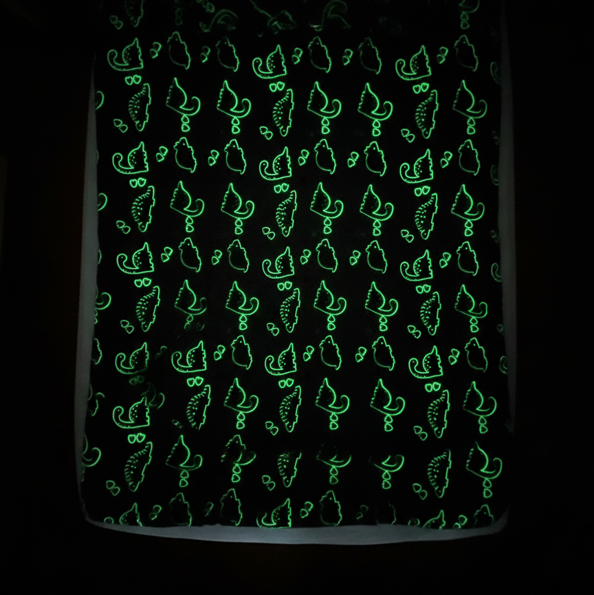 Dinosaur Glow Blanket