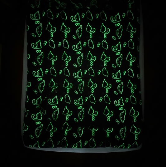Dinosaur Glow Blanket