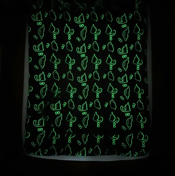 Dinosaur Glow Blanket